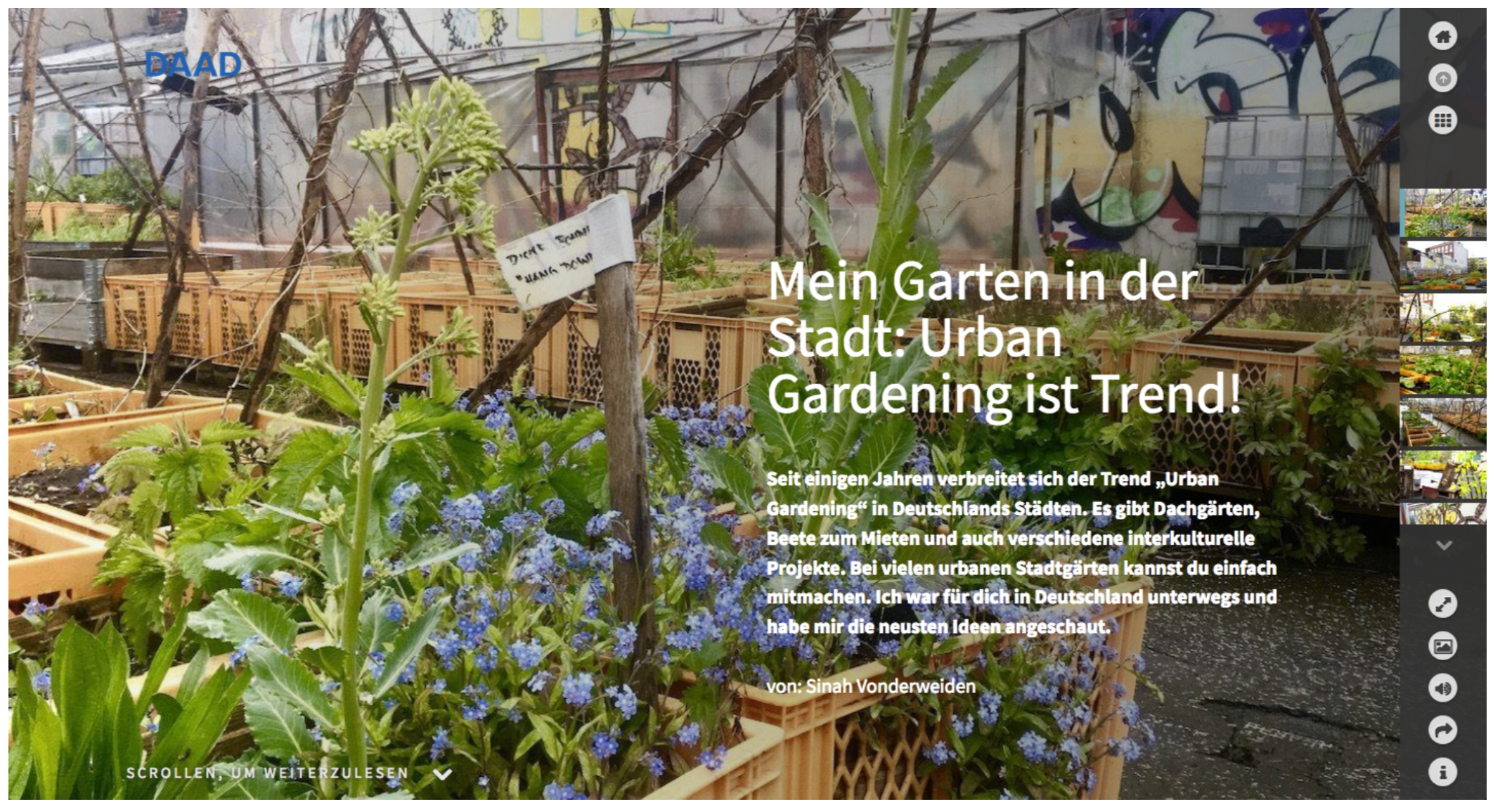 Portfolio Sinah Vonderweiden: Scrollytelling-Artikel zum Thema Urban Gardening für study-in.de (DAAD)